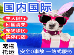 郑州新郑机场托运国际宠物托运 【国